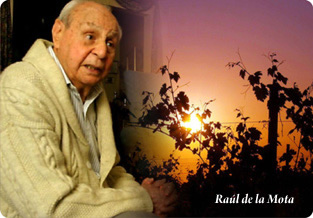 Raul de la mota